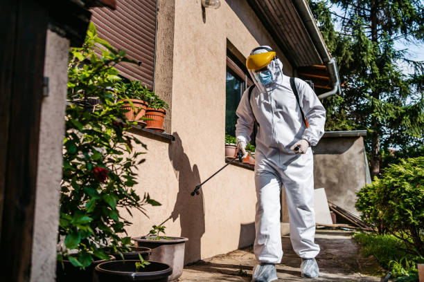 Best Wasp Removal Services  in Adair Village, OR