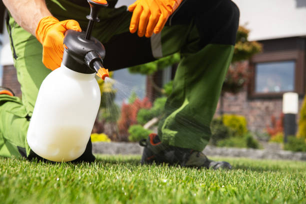 Best Affordable Pest Control Services  in Adair Village, OR