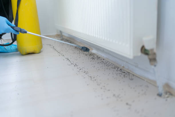 Best Flea Control Services  in Adair Village, OR