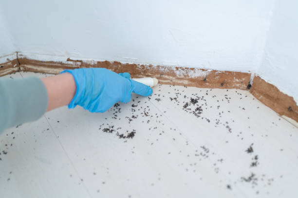 Best Commercial Pest Control Services  in Adair Village, OR
