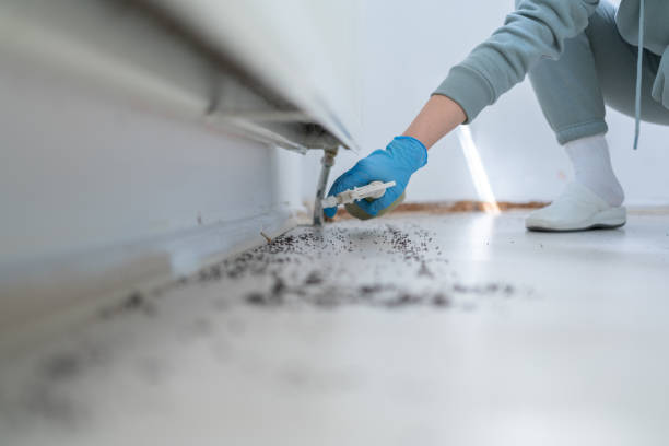 Best Pest Control Near Me  in Adair Village, OR