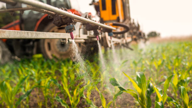 Professional Pest Control in Adair Village, OR